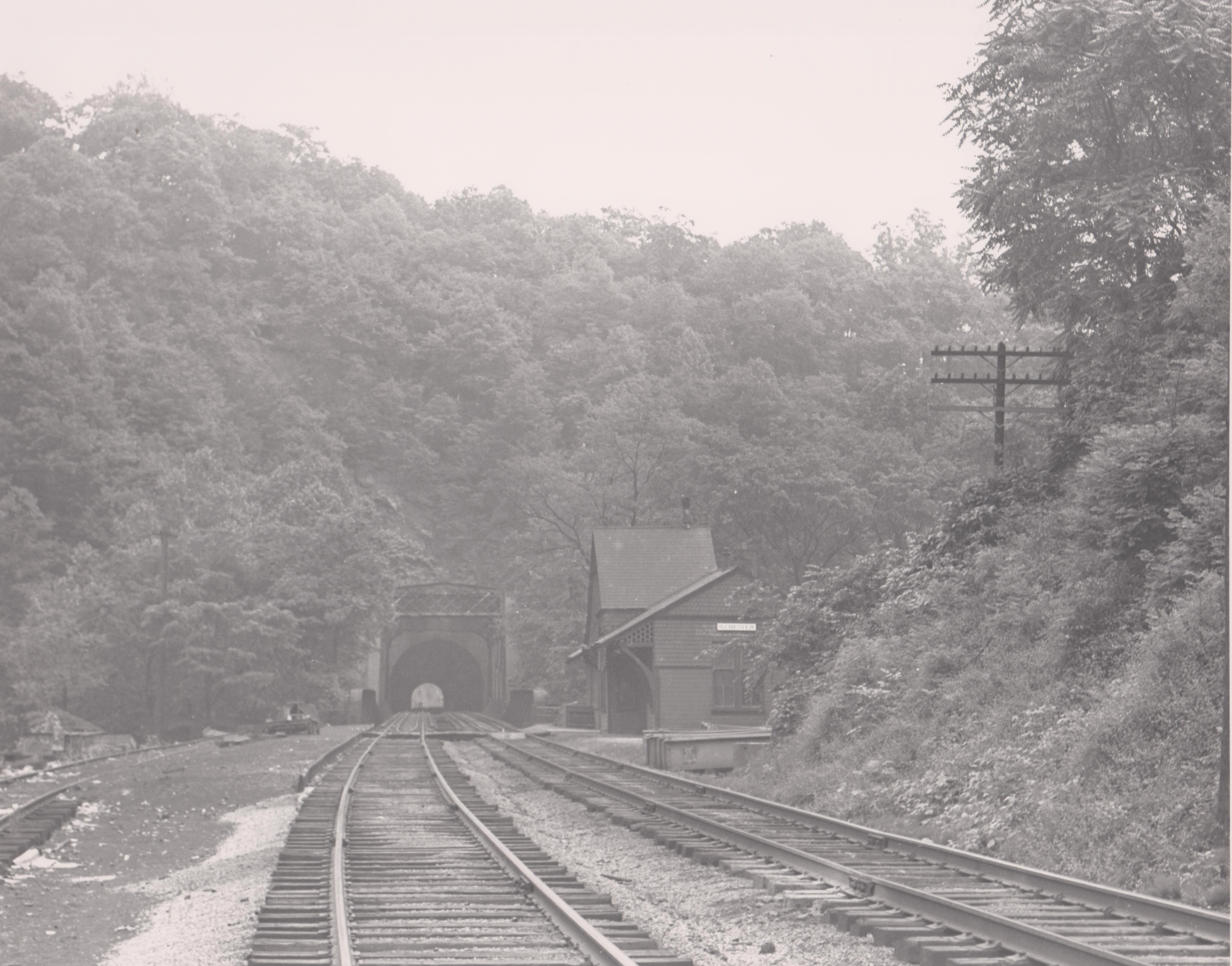 Ilchester 005